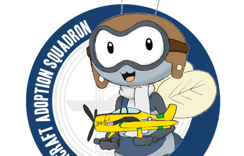 The logo shows a cartoon bee wearing a pilot's helmet and goggles, holding a small airplane